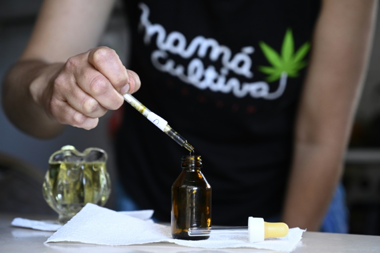 Argentina - salud - cannabis - tratamiento