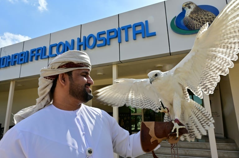 Emirats - hôpitaux - loisirs - animaux - chasse - patrimoine