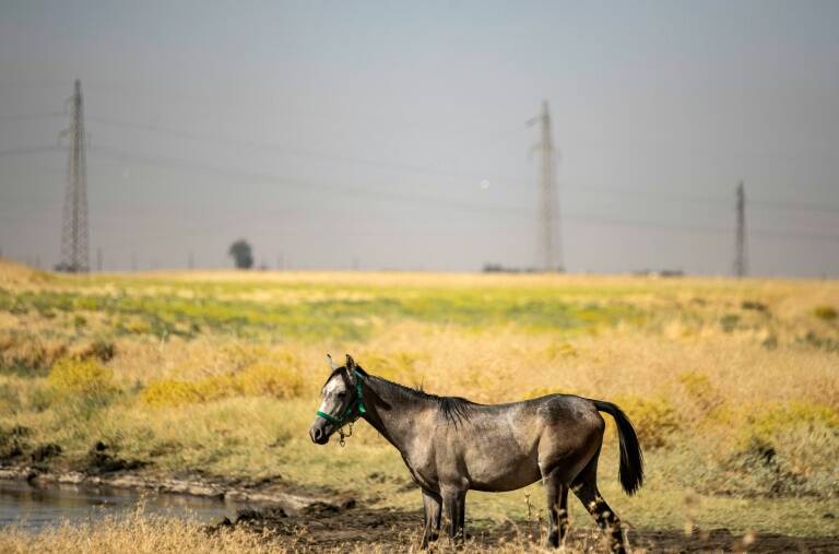 Syrie - conflit - eau - agriculture - pétrole