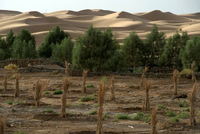 clima - economía - ayuda - medioambiente - OCDE - ONU - ONG - desarrollo