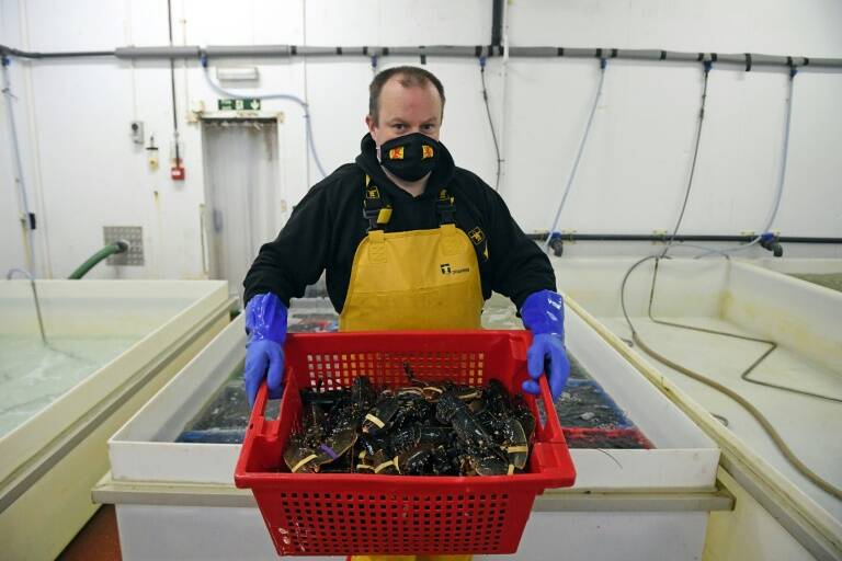 UK, UE, Escocia, pesca, comercio, política, Brexit