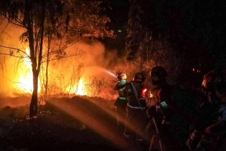 China,incendio,bosques