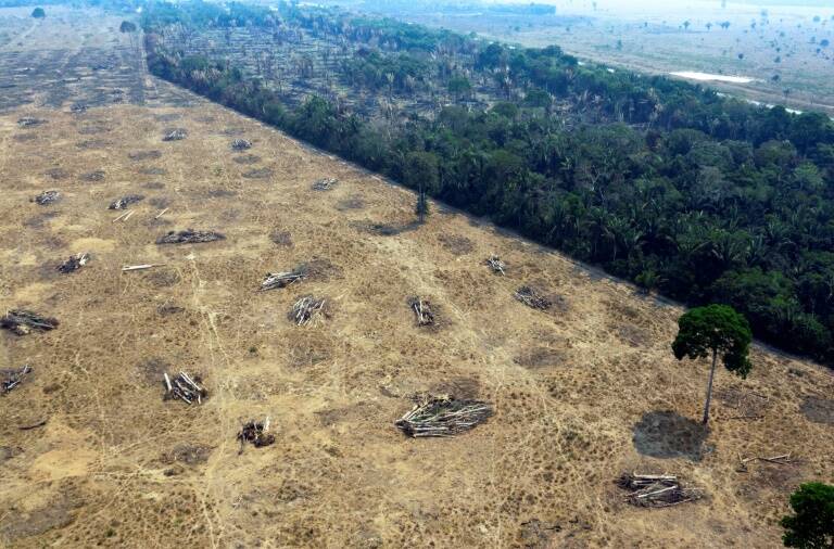 Climate - environment - Amazon - Brazil - Britain - retail