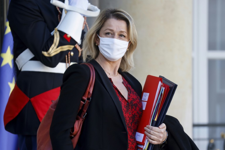 Francia - gobierno - medioambiente - contaminación - legislación
