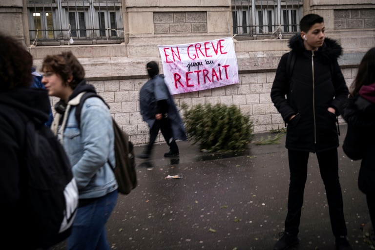 Francia - poltica - manifestaciones - huelga