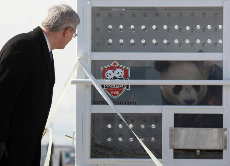 Canada,China,animal,panda