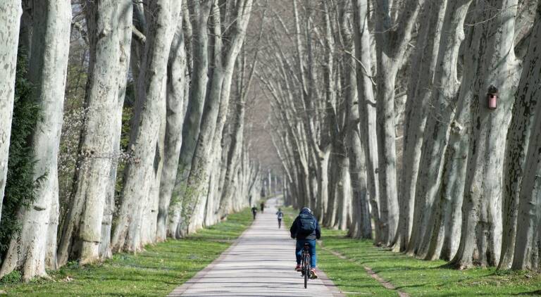 environnement,climat