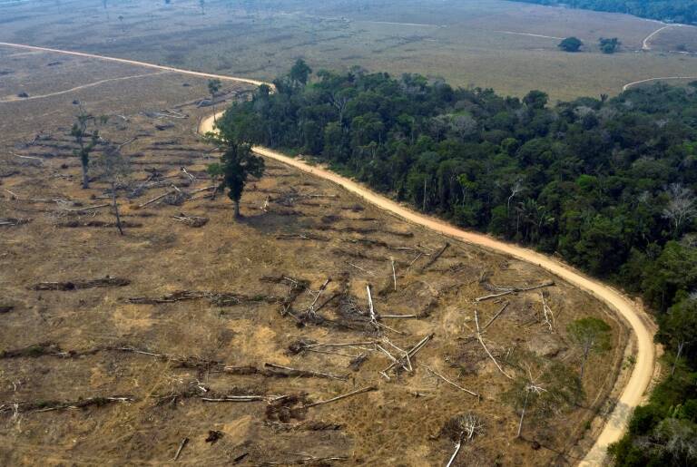 Brasil - medioambiente - incendios - poltica