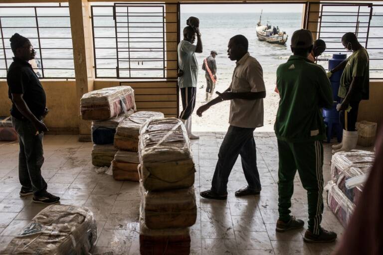salud, virus, epidemia, Senegal