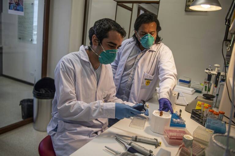 Perú,epidemia,salud,virus