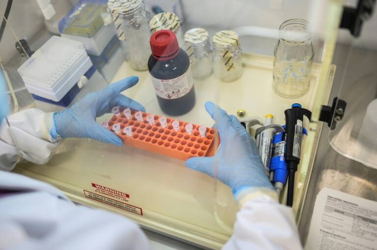 epidemia,virus,salud,ciencia,medios,publicaciones