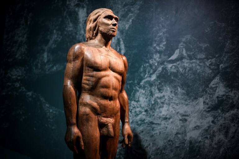 sciences,archéologie,Préhistoire