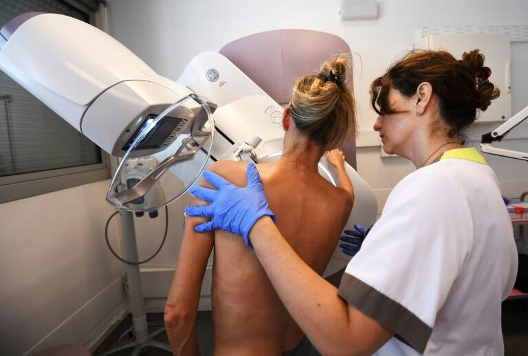 cáncer - genética - medicina - salud