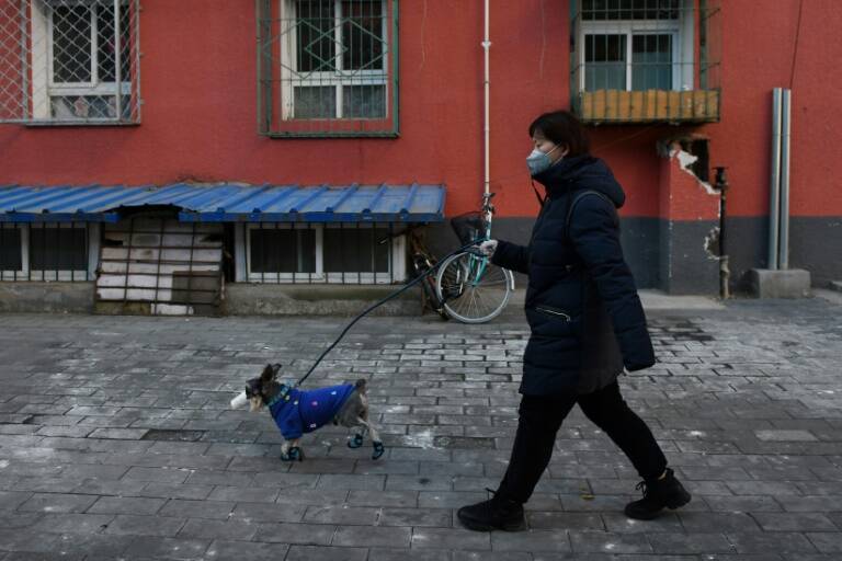 China, crecimiento, virus, economa, salud