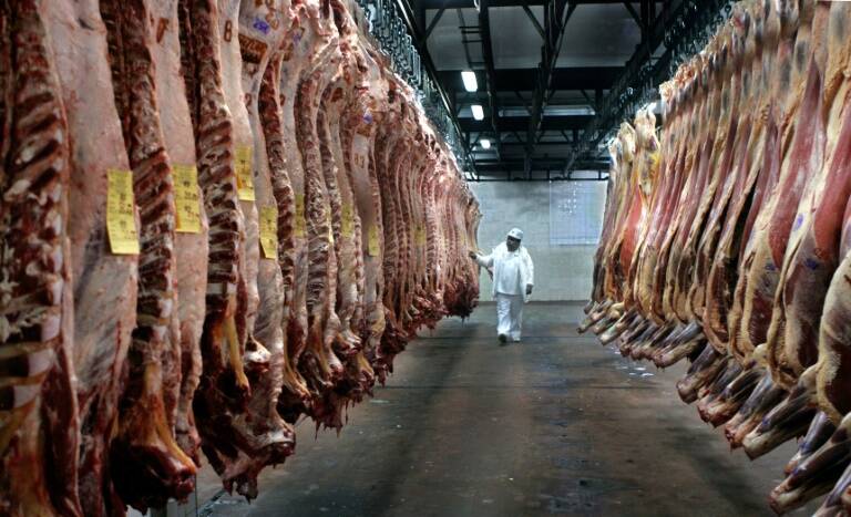 Argentina - exportaciones - alimentos - alimentación - virus - epidemia - pandemia - China - UE - EEUU - Israel