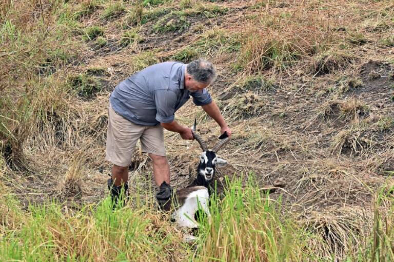 SSudn, animales, medioambiente, conflicto, preservacin, turismo