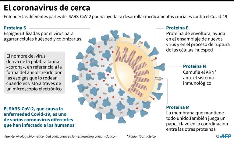 noticia