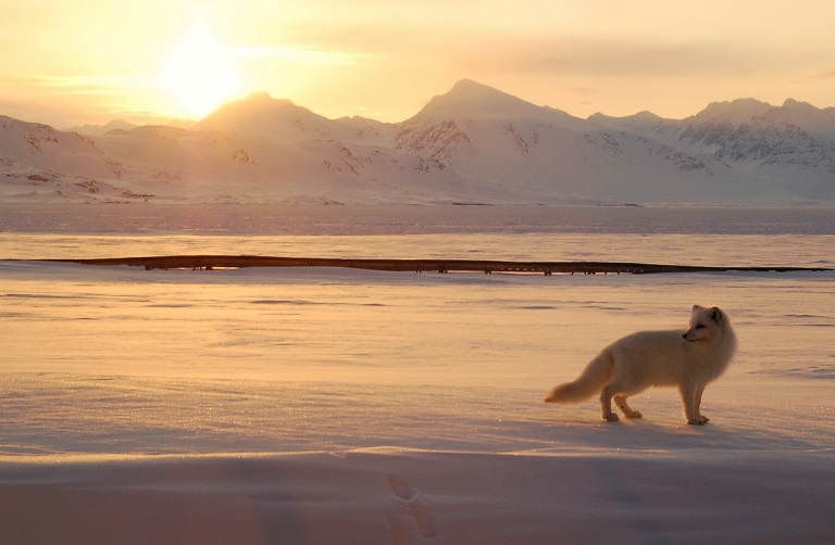 clima - meteorologa - Svalbard - rctico - Noruega