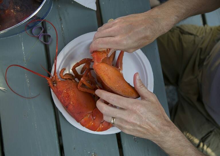 Health - virus - Canada - fishing