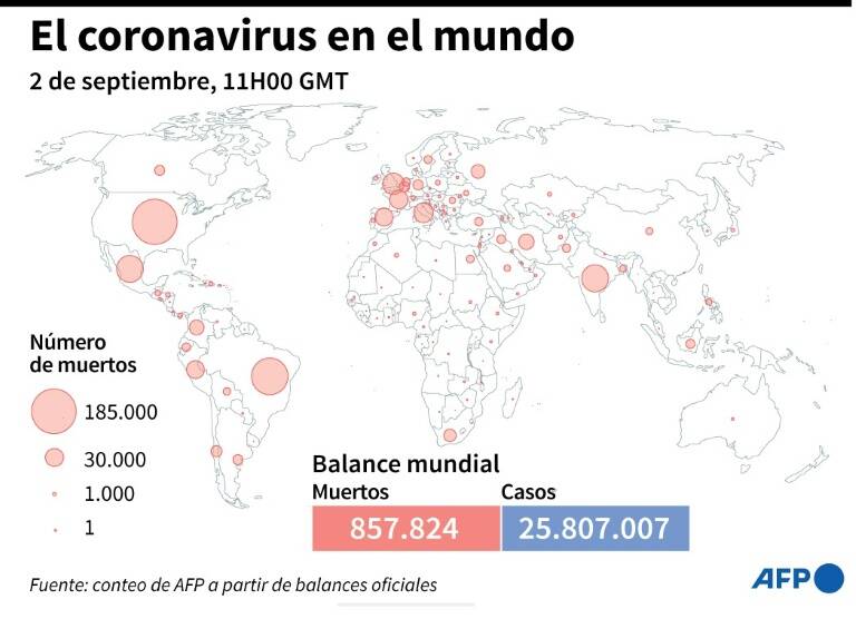 salud - pandemia - virus - balance - mundo