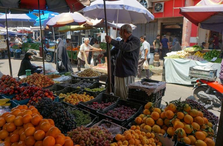 Irak - santé - virus - épidémie - agriculture - économie