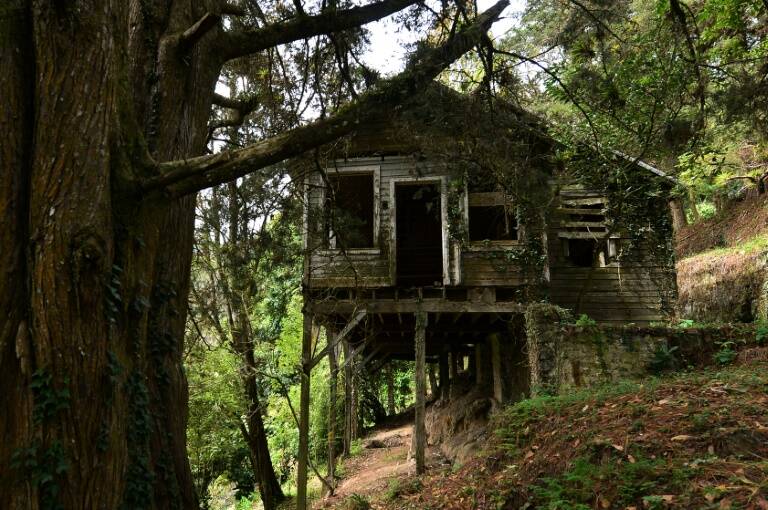 Honduras - medioambiente - minería - historia