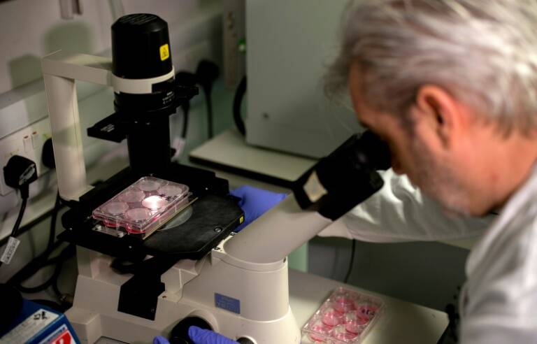 Health,virus,Britain,vaccines