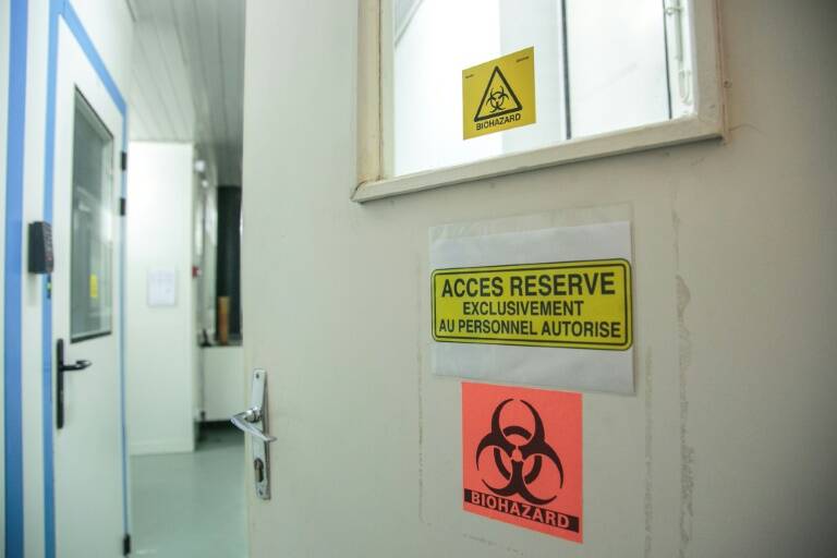 épidémie - virus - médecine - vaccins - industrie - pharmacie - santé