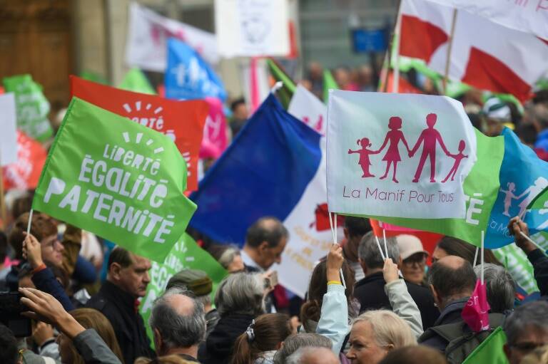 Francia,sociedad,familia,esterilidad,política