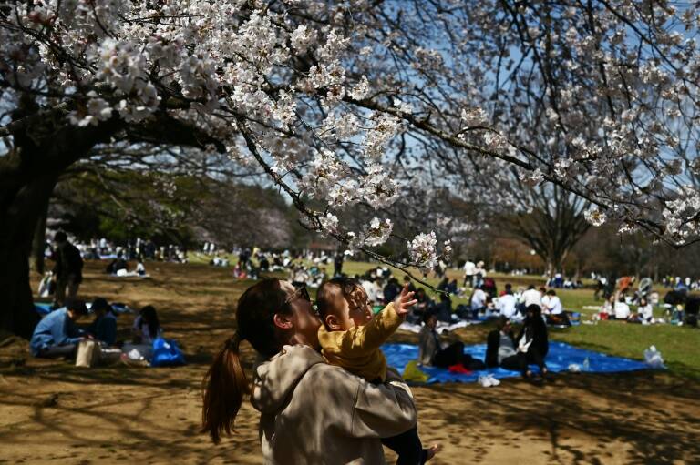 Japon - sociedad - tradición - epidemia - virus - salud