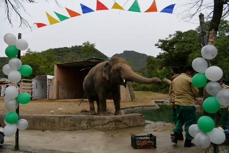 Pakistan - animaux - environnement