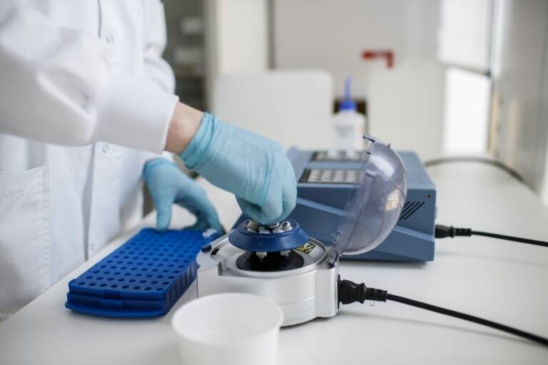 Alemania - EEUU - pandemia - biotecnología - vacunas - salud - virus