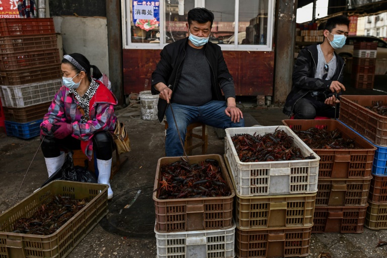 Health - virus - China - animals - livestock