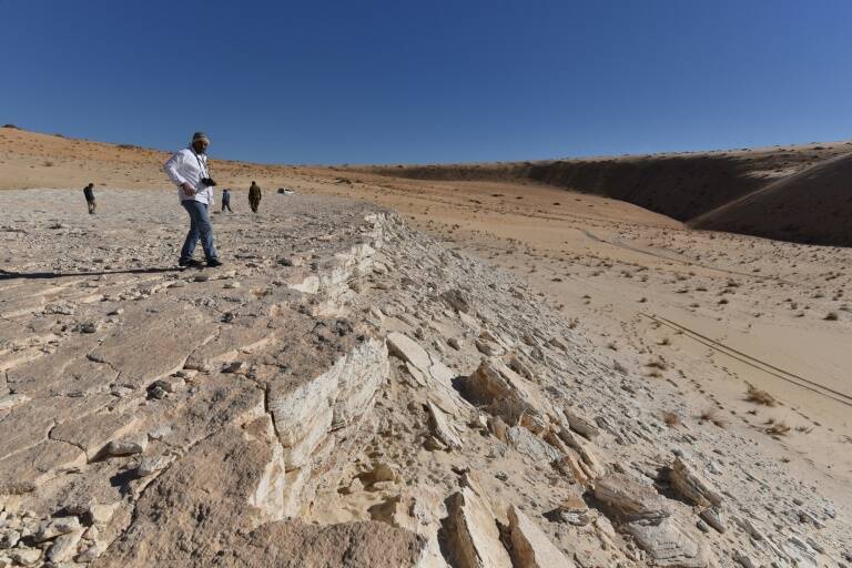 biology - anthropology - Saudi - Arabia - science