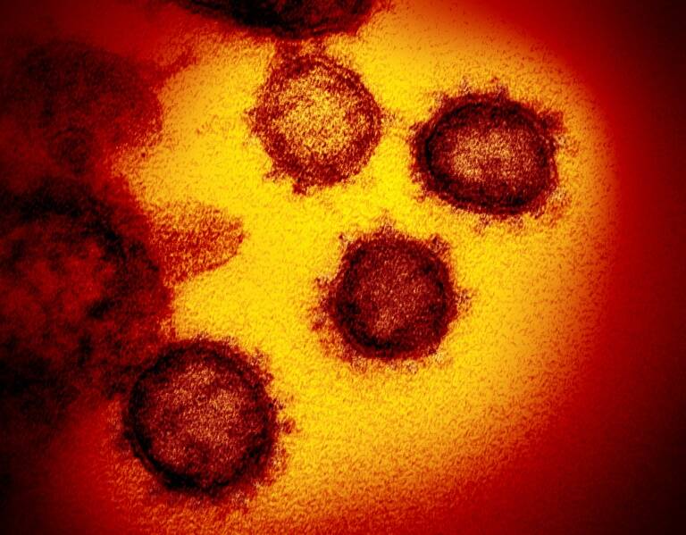 Health - virus - genetics - antibody - spray - health