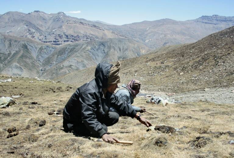 Nepal,health,virus