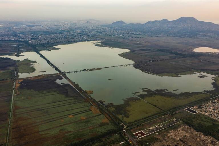 medioambiente - agua - animales - México
