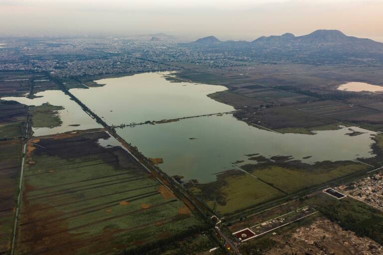 medioambiente,agua,animales,Mxico