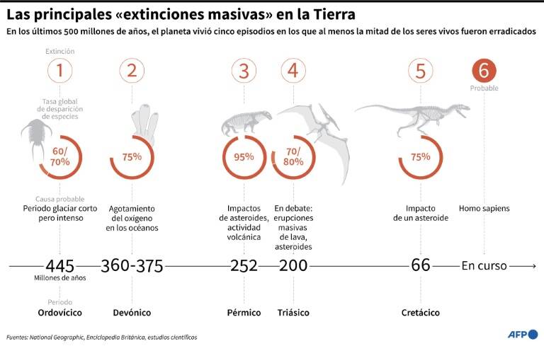 noticia