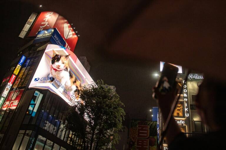 Japan - lifestyle - billboard - cat