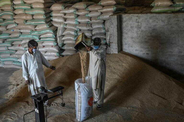 Pakistan,India,EU,economy,rice