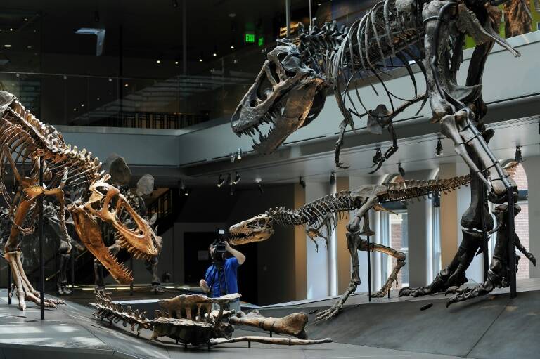 USA - sciences - paléontologie