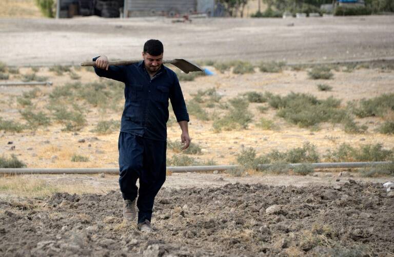 Environment,Iraq,climate,agriculture
