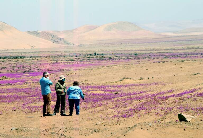 Chile,medioambiente,clima