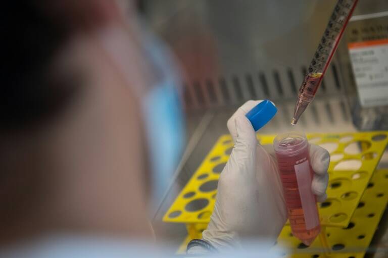 AfSud - GB - pandémie - virus - santé - tourisme