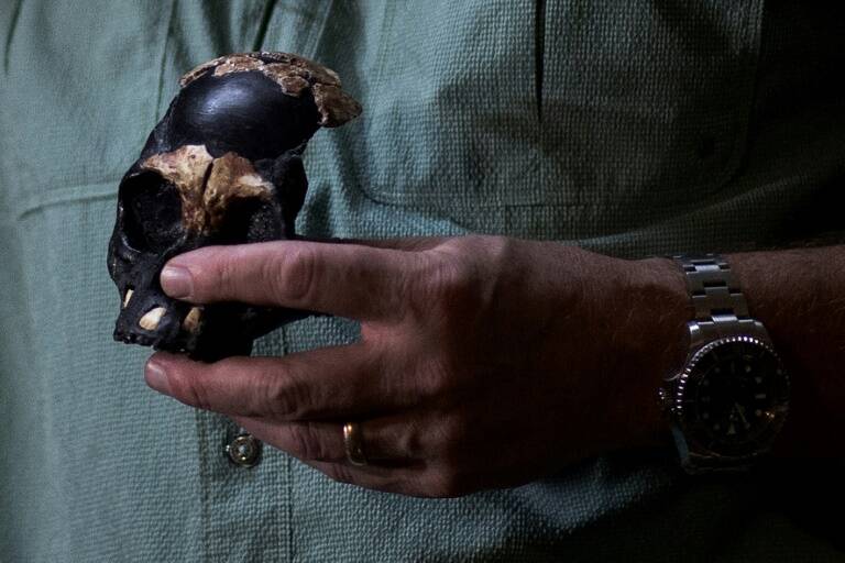 Science - SAfrica - anthropology - palaeontology