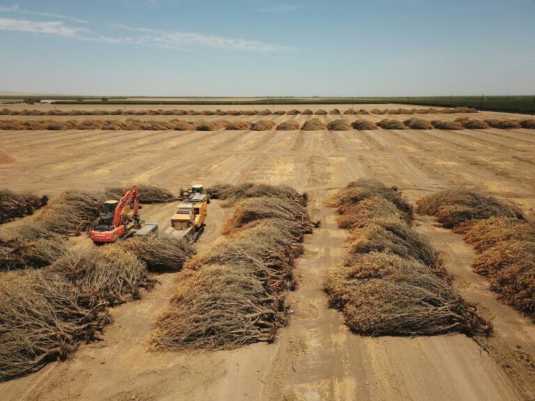 sécheresse,climat,agriculture,USA,sécheresse,climat,agriculture,USA,sécheresse,climat,agriculture