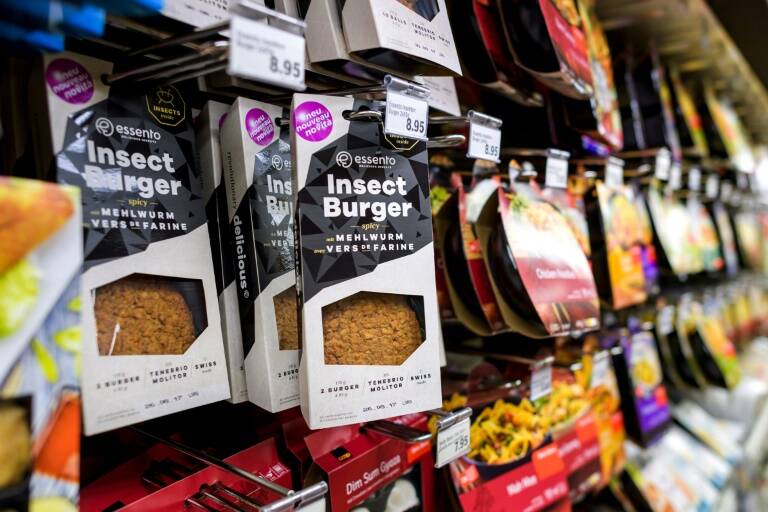 UE,insects,alimentos