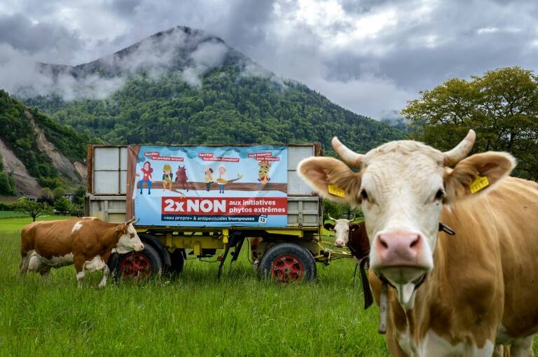 Suiza - votación - medioambiente - política - agricultura