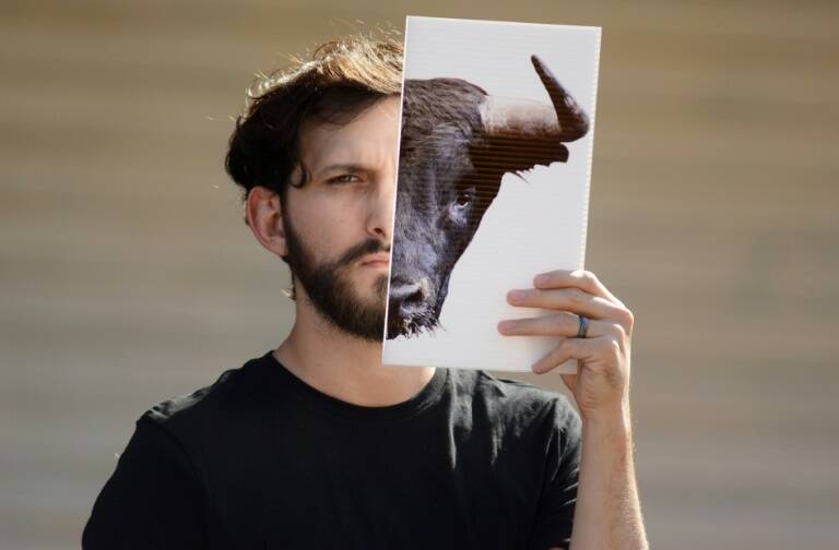 toros - sociedad - justicia - Venezuela